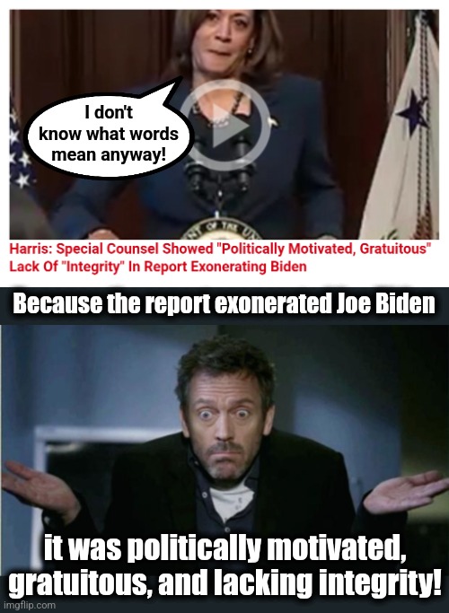 I couldn't watch that video.  I thought I might vomit. | I don't know what words mean anyway! Because the report exonerated Joe Biden; it was politically motivated, gratuitous, and lacking integrity! | image tagged in shrug,kamala harris,joe biden,classified documents,special counsel report,democrats | made w/ Imgflip meme maker