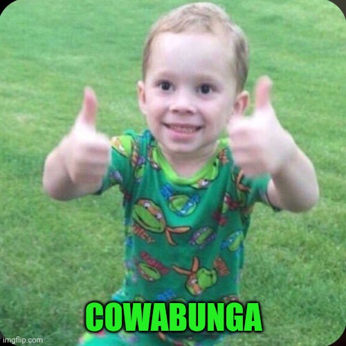 Thumbs up boy | COWABUNGA | image tagged in thumbs up boy | made w/ Imgflip meme maker