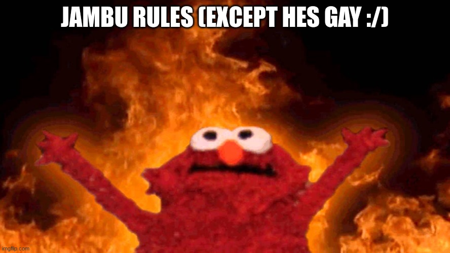 elmo fire | JAMBU RULES (EXCEPT HES GAY :/) | image tagged in elmo fire | made w/ Imgflip meme maker