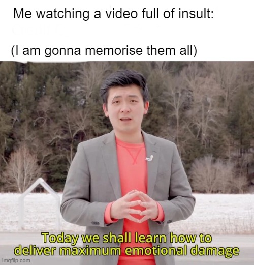 Today we will learn how to deal maximum emotional damage | Me watching a video full of insult:; (I am gonna memorise them all) | image tagged in today we will learn how to deal maximum emotional damage | made w/ Imgflip meme maker