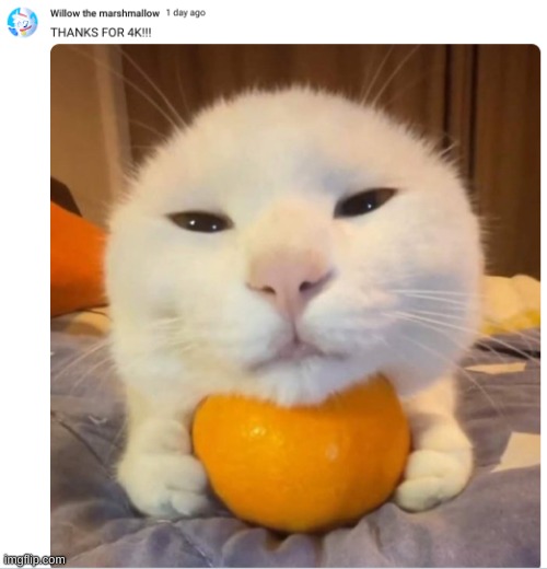 might get omori and deltarune today | made w/ Imgflip meme maker