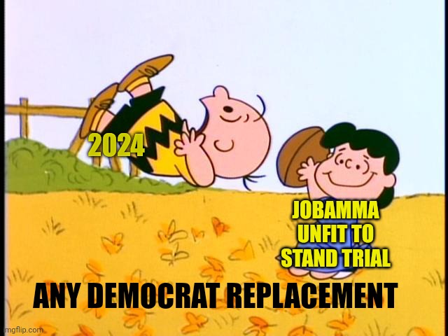 Charlie Brown football | 2024; JOBAMMA UNFIT TO STAND TRIAL; ANY DEMOCRAT REPLACEMENT | image tagged in charlie brown football,presidential election,voters,obama biden,dr evil and frau,evilmandoevil | made w/ Imgflip meme maker
