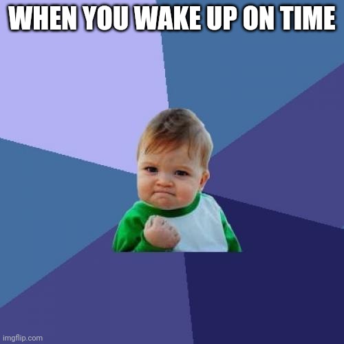 Success Kid | WHEN YOU WAKE UP ON TIME | image tagged in memes,success kid | made w/ Imgflip meme maker