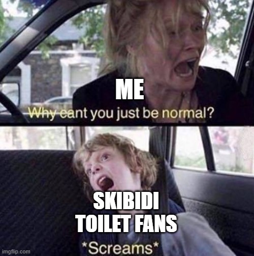 Why Can't You Just Be Normal | ME; SKIBIDI TOILET FANS | image tagged in why can't you just be normal | made w/ Imgflip meme maker