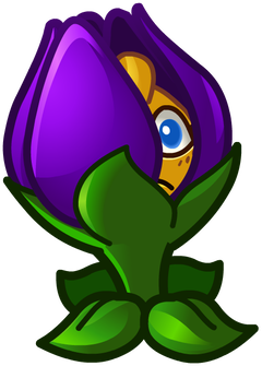 PvZ Shrinking Violet Blank Meme Template