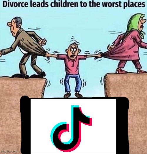 TikTok is dumb af | image tagged in divorce leads children to the worst places | made w/ Imgflip meme maker