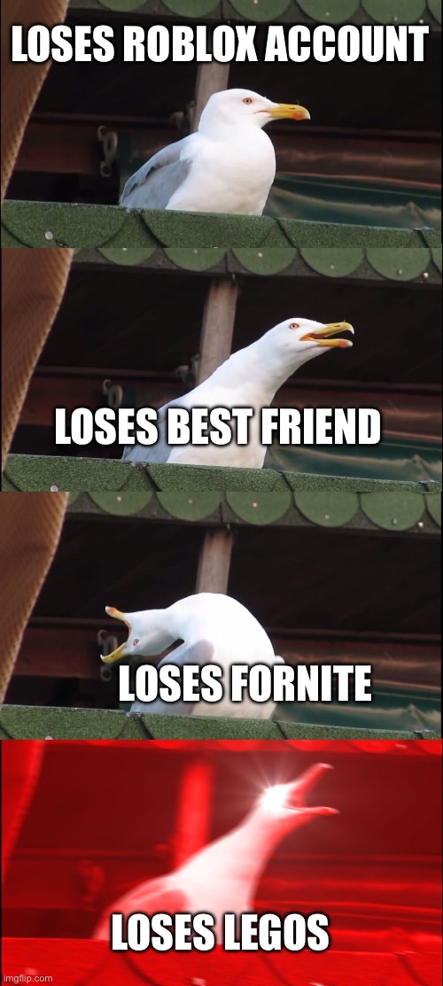 Inhaling Seagull | LOSES ROBLOX ACCOUNT; LOSES BEST FRIEND; LOSES FORNITE; LOSES LEGOS | image tagged in memes,inhaling seagull | made w/ Imgflip meme maker