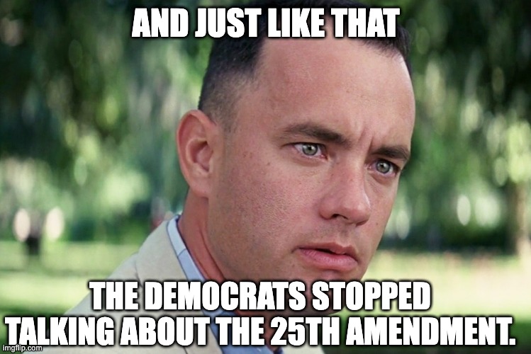And Just Like That Meme | AND JUST LIKE THAT; THE DEMOCRATS STOPPED TALKING ABOUT THE 25TH AMENDMENT. | image tagged in memes,and just like that | made w/ Imgflip meme maker