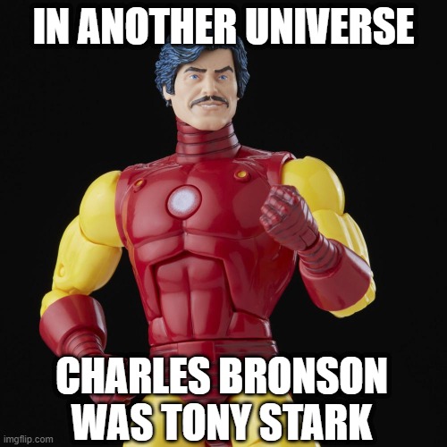 Iron Death Wish | IN ANOTHER UNIVERSE; CHARLES BRONSON WAS TONY STARK | image tagged in iron man,charles bronson | made w/ Imgflip meme maker