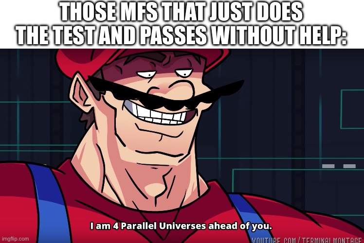 Mario I am four parallel universes ahead of you | THOSE MFS THAT JUST DOES THE TEST AND PASSES WITHOUT HELP: | image tagged in mario i am four parallel universes ahead of you | made w/ Imgflip meme maker