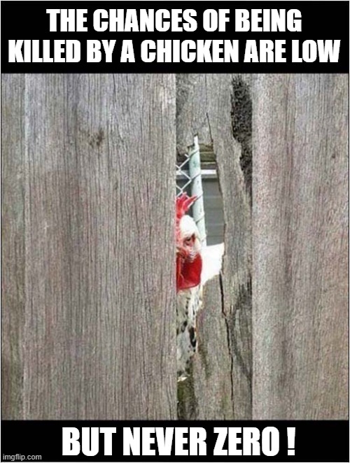 The Evil Eye ! | THE CHANCES OF BEING KILLED BY A CHICKEN ARE LOW; BUT NEVER ZERO ! | image tagged in chicken,evil eye | made w/ Imgflip meme maker