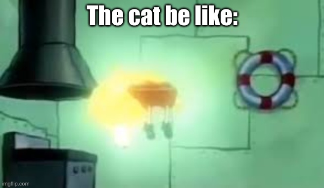 Floating Spongebob | The cat be like: | image tagged in floating spongebob | made w/ Imgflip meme maker