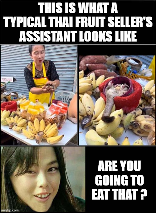 That's A Sweet Flying Squirrel ! | THIS IS WHAT A TYPICAL THAI FRUIT SELLER'S ASSISTANT LOOKS LIKE; ARE YOU GOING TO EAT THAT ? | image tagged in thai,food,flying squirrel,hungry asian girl,dark humour | made w/ Imgflip meme maker