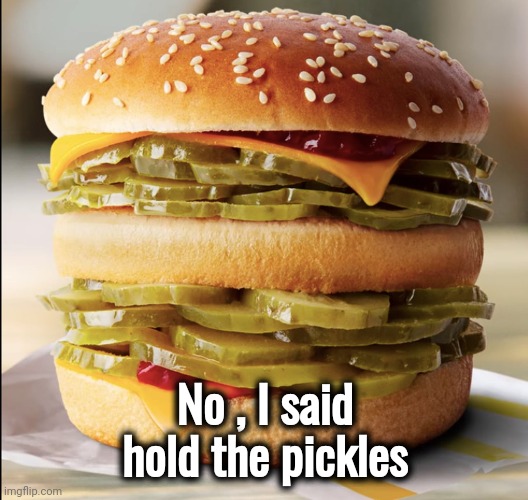 No , I said hold the pickles | made w/ Imgflip meme maker