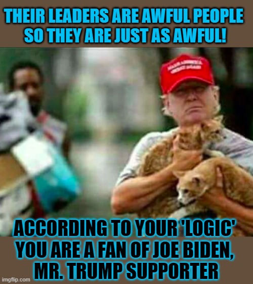 This #lolcat wonders if people are responsible for their leaders | THEIR LEADERS ARE AWFUL PEOPLE 
SO THEY ARE JUST AS AWFUL! ACCORDING TO YOUR 'LOGIC' 
YOU ARE A FAN OF JOE BIDEN, 
MR. TRUMP SUPPORTER | image tagged in leadership,stupid people,democracy,conservative logic,lolcat | made w/ Imgflip meme maker