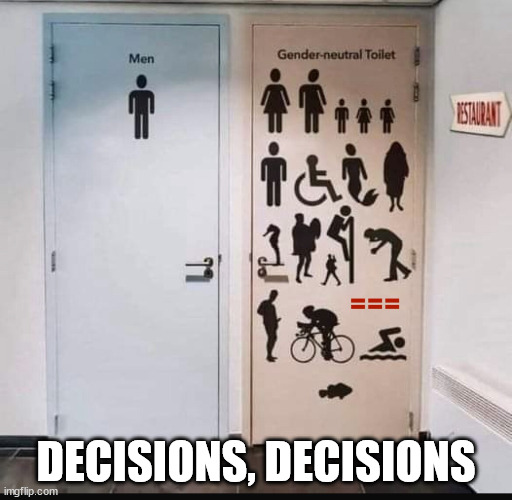Bathroom Break | DECISIONS, DECISIONS | image tagged in memes,politics | made w/ Imgflip meme maker