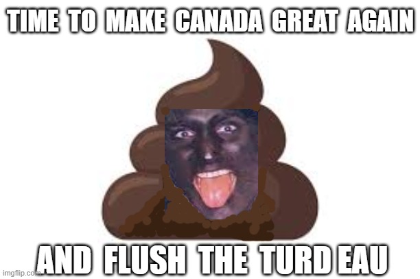 TIME  TO  MAKE  CANADA  GREAT  AGAIN; AND  FLUSH  THE  TURD EAU | image tagged in justin trudeau,trudy,canada,soy boy,pos | made w/ Imgflip meme maker