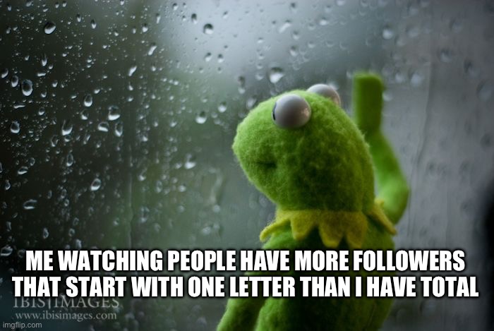 . | ME WATCHING PEOPLE HAVE MORE FOLLOWERS THAT START WITH ONE LETTER THAN I HAVE TOTAL | image tagged in kermit window | made w/ Imgflip meme maker