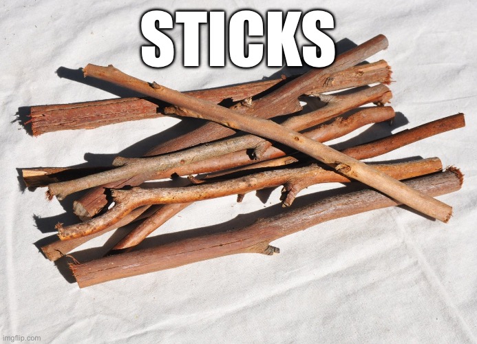 Bundle of Sticks | STICKS | image tagged in bundle of sticks | made w/ Imgflip meme maker
