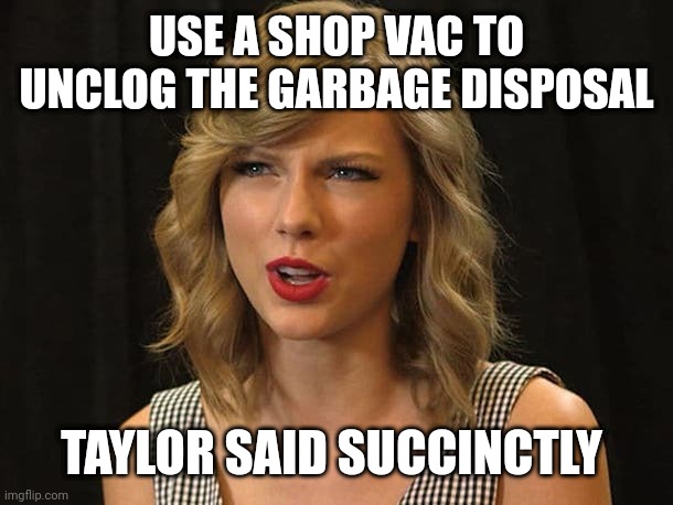 Taylor said succinctly | USE A SHOP VAC TO UNCLOG THE GARBAGE DISPOSAL; TAYLOR SAID SUCCINCTLY | image tagged in taylor swiftie | made w/ Imgflip meme maker