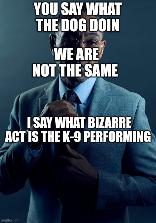 Gus Fring we are not the same | YOU SAY WHAT THE DOG DOIN I SAY WHAT BIZARRE ACT IS THE K-9 PERFORMING WE ARE NOT THE SAME | image tagged in gus fring we are not the same | made w/ Imgflip meme maker