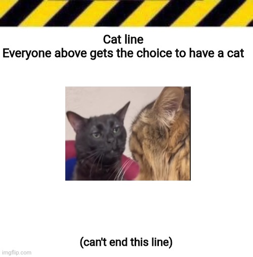 Yuh | Cat line
Everyone above gets the choice to have a cat; (can't end this line) | made w/ Imgflip meme maker