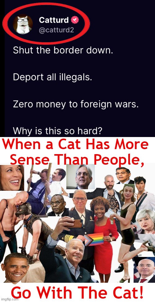 Bring Back Cat Sense | When a Cat Has More 
Sense Than People, Go With The Cat! | image tagged in political humor,democrats,cat sense not nonsense,open borders,illegal aliens,war | made w/ Imgflip meme maker