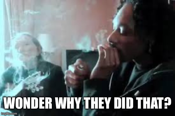 High AF | WONDER WHY THEY DID THAT? | image tagged in funny | made w/ Imgflip meme maker