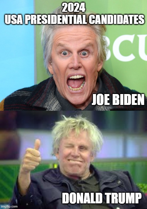 2024 Election Candidates Dem. GARY BUSEY vs. Rep. NICK NOLTE | 2024
 USA PRESIDENTIAL CANDIDATES; JOE BIDEN; DONALD TRUMP | image tagged in neverbiden,liberals vs conservatives,taylor swiftie,president trump,mainstream media,presidential election | made w/ Imgflip meme maker