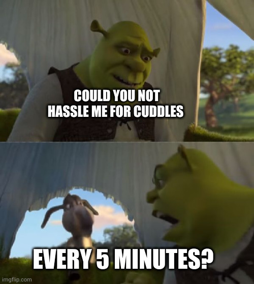Could you not ___ for 5 MINUTES | COULD YOU NOT HASSLE ME FOR CUDDLES EVERY 5 MINUTES? | image tagged in could you not ___ for 5 minutes | made w/ Imgflip meme maker