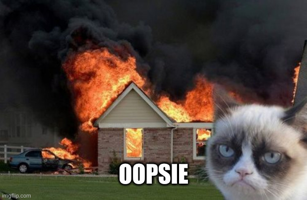 Burn Kitty Meme | OOPSIE | image tagged in memes,burn kitty,grumpy cat | made w/ Imgflip meme maker