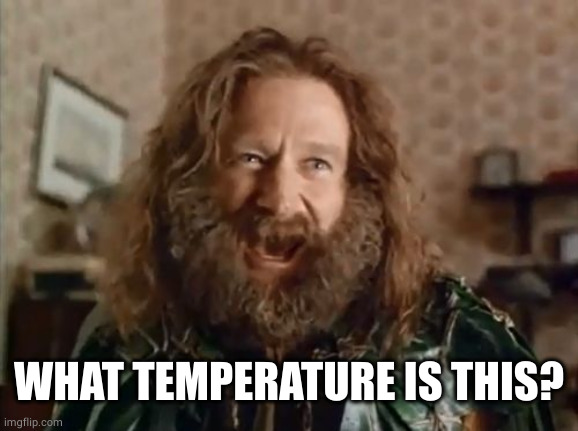 What Year Is It Meme | WHAT TEMPERATURE IS THIS? | image tagged in memes,what year is it | made w/ Imgflip meme maker