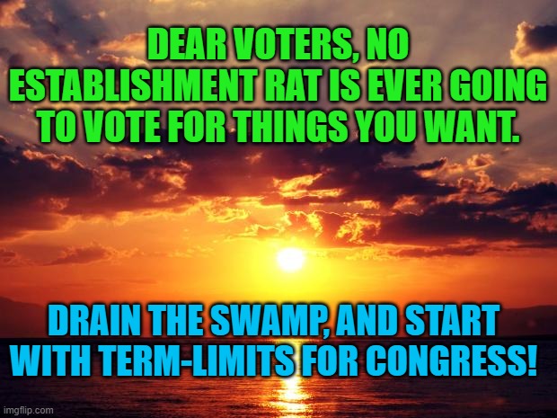 Sunset | DEAR VOTERS, NO ESTABLISHMENT RAT IS EVER GOING TO VOTE FOR THINGS YOU WANT. DRAIN THE SWAMP, AND START WITH TERM-LIMITS FOR CONGRESS! | image tagged in sunset | made w/ Imgflip meme maker