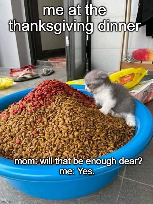 thanksgiving kitten | me at the thanksgiving dinner; mom: will that be enough dear?
me: Yes. | image tagged in thanksgiving dinner,kitten | made w/ Imgflip meme maker