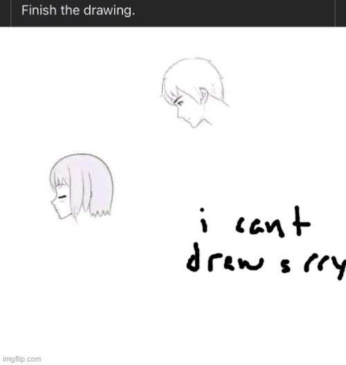 finish the drawing | image tagged in finish the drawing | made w/ Imgflip meme maker