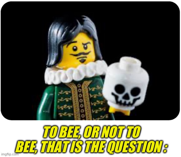 TO BEE, OR NOT TO BEE, THAT IS THE QUESTION : | made w/ Imgflip meme maker
