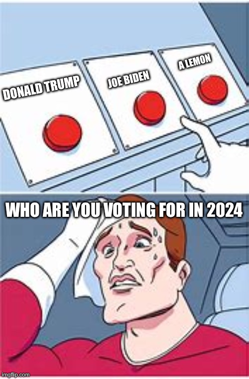 Three Buttons | A LEMON; JOE BIDEN; DONALD TRUMP; WHO ARE YOU VOTING FOR IN 2024 | image tagged in three buttons | made w/ Imgflip meme maker