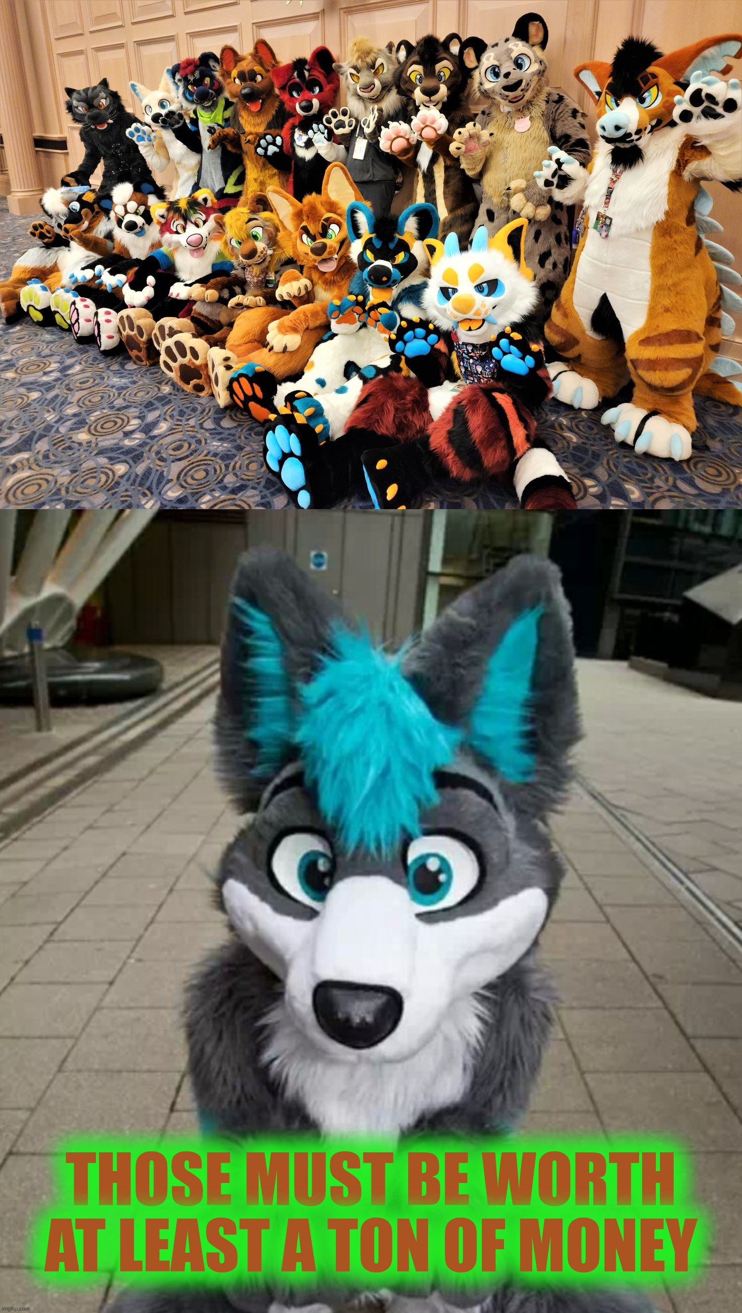 THOSE MUST BE WORTH AT LEAST A TON OF MONEY | image tagged in furry | made w/ Imgflip meme maker