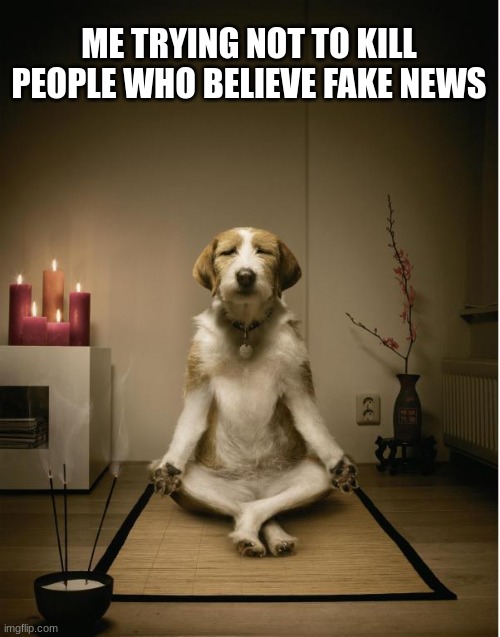 dog meditation funny | ME TRYING NOT TO KILL PEOPLE WHO BELIEVE FAKE NEWS | image tagged in dog meditation funny | made w/ Imgflip meme maker
