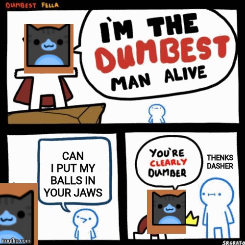 I'm the dumbest man alive | CAN I PUT MY BALLS IN YOUR JAWS; THENKS DASHER | image tagged in i'm the dumbest man alive | made w/ Imgflip meme maker