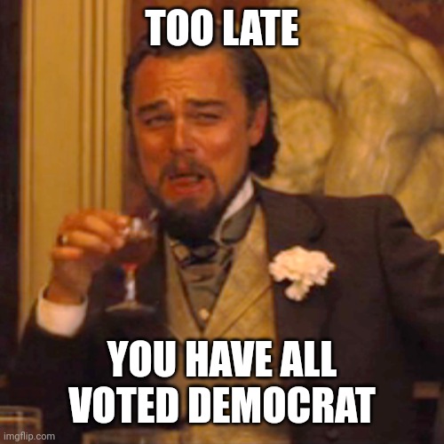 Laughing Leo Meme | TOO LATE YOU HAVE ALL VOTED DEMOCRAT | image tagged in memes,laughing leo | made w/ Imgflip meme maker