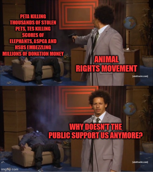 Gee, I wonder why for the Animal Rights Movement | PETA KILLING THOUSANDS OF STOLEN PETS, TES KILLING SCORES OF ELEPHANTS, ASPCA AND HSUS EMBEZZLING MILLIONS OF DONATION MONEY; ANIMAL RIGHTS MOVEMENT; WHY DOESN'T THE PUBLIC SUPPORT US ANYMORE? | image tagged in memes,who killed hannibal | made w/ Imgflip meme maker