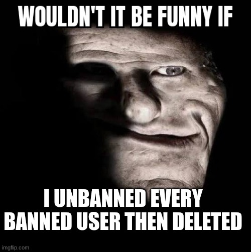 Wouldn't it be funny if x | I UNBANNED EVERY BANNED USER THEN DELETED | image tagged in wouldn't it be funny if x | made w/ Imgflip meme maker