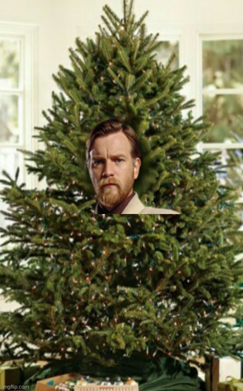 Sean Conifer Christmas Tree | image tagged in sean conifer christmas tree | made w/ Imgflip meme maker