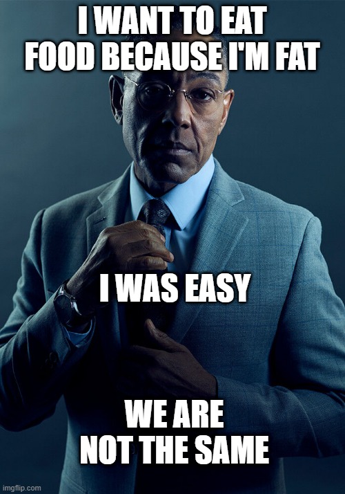 I'm eating fat food | I WANT TO EAT FOOD BECAUSE I'M FAT; I WAS EASY; WE ARE NOT THE SAME | image tagged in gus fring we are not the same,memes,funny | made w/ Imgflip meme maker