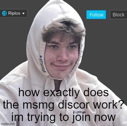 how exactly does the msmg discor work? im trying to join now | image tagged in riplor anouncer tempalerte | made w/ Imgflip meme maker