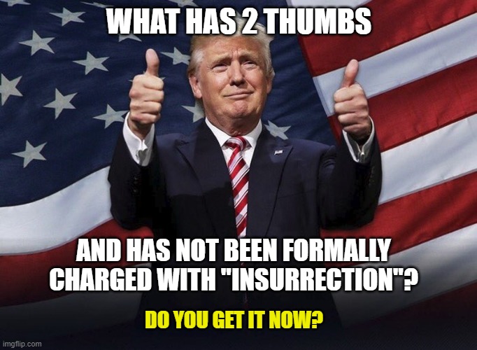 Once again the Democrats have lied over and over again to the public | WHAT HAS 2 THUMBS; AND HAS NOT BEEN FORMALLY CHARGED WITH "INSURRECTION"? DO YOU GET IT NOW? | image tagged in 2 thumbs trump,democrats,liberals,leftists,biased media,political persecution | made w/ Imgflip meme maker