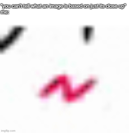 boykisser??? | "you can't tell what an image is based on just its close up"
me: | made w/ Imgflip meme maker