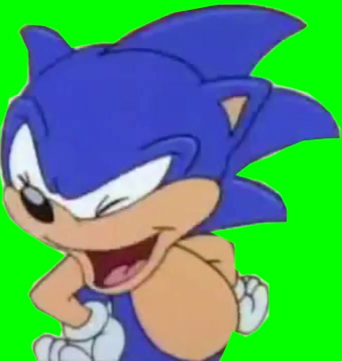 sonic Blank Meme Template