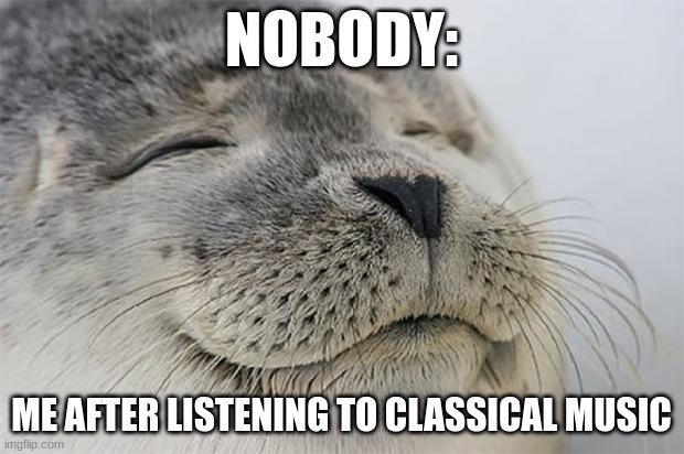 Classical music is wonderful | NOBODY:; ME AFTER LISTENING TO CLASSICAL MUSIC | image tagged in memes,satisfied seal,music,jpfan102504 | made w/ Imgflip meme maker